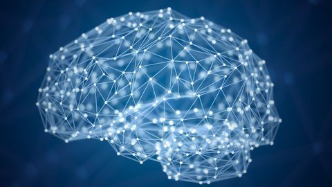 From Ion Channels to Whole Brain Stimulation