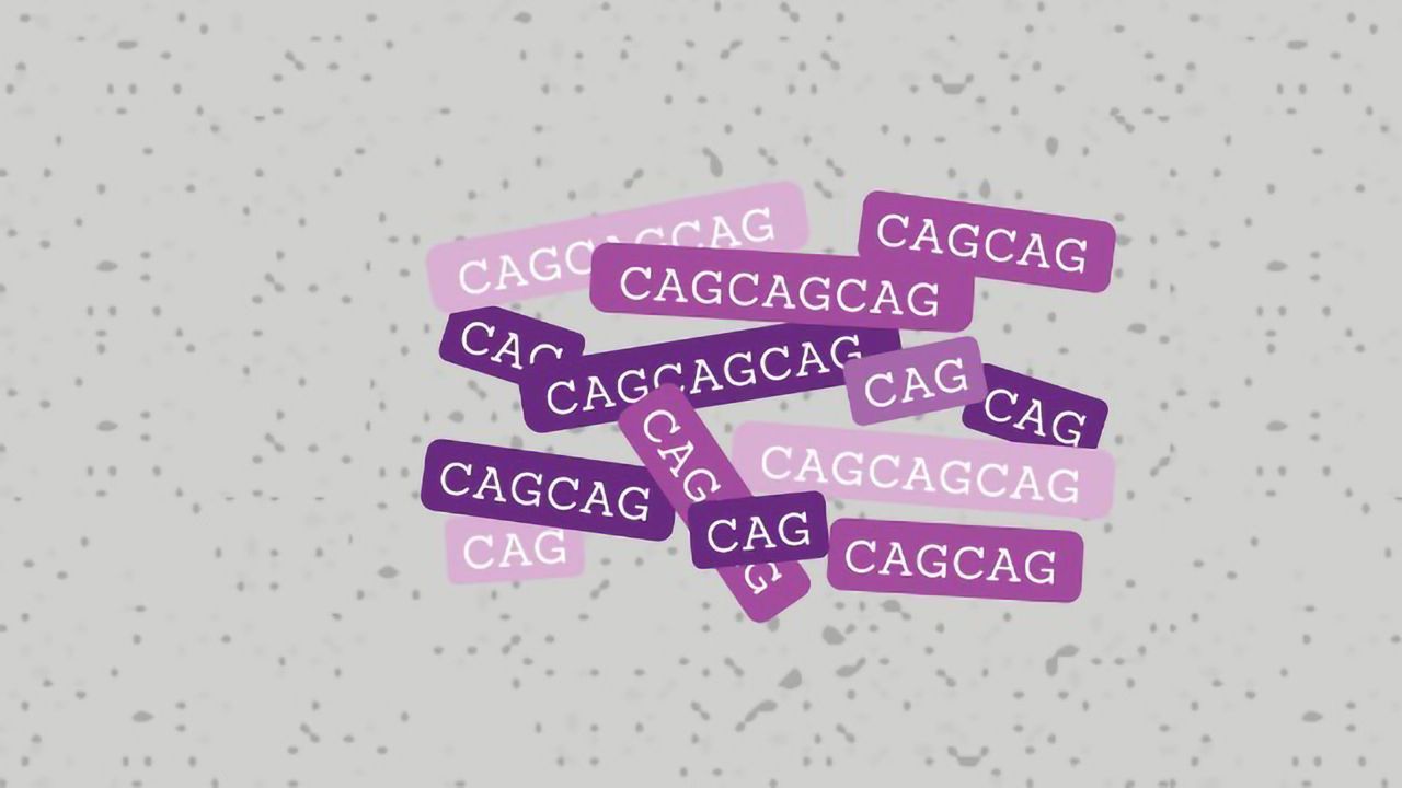 Genetic Analysis Gives Insight Into Huntington's Onset