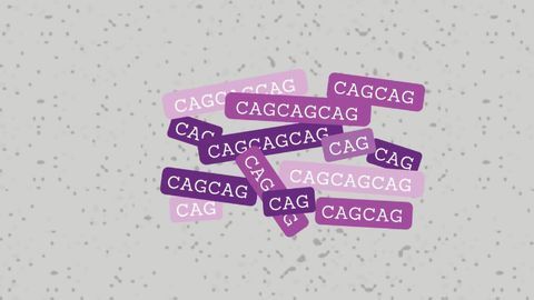 Genetic Analysis Gives Insight Into Huntington's Onset
