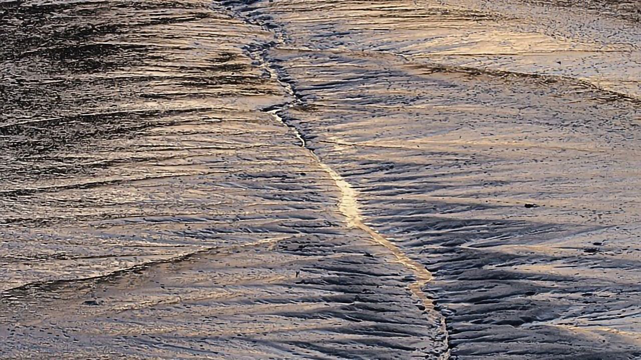 Coastal Mud Bacteria Important in Cooling the Climate