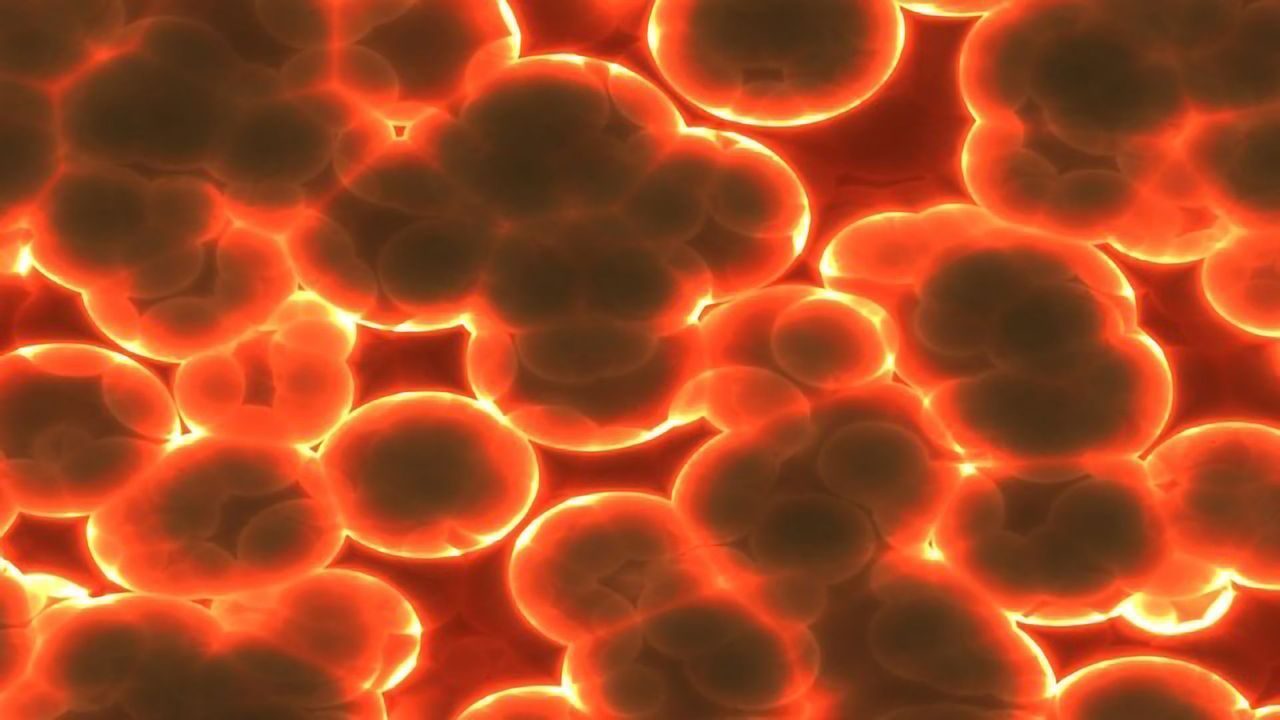 Children With a High Genetic Risk of Developing Type 1 Diabetes Have Different Gut Microbiomes