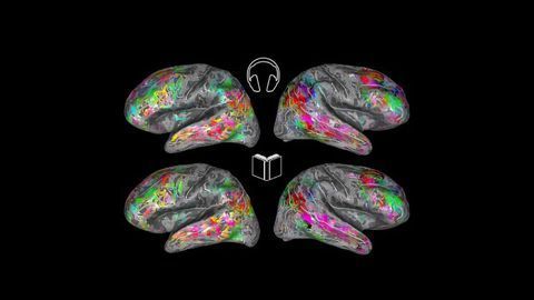 This Map of the Brain Can Tell What You're Reading