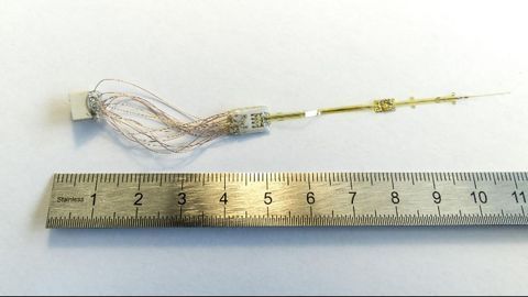 Eyeball-skipping Electrode Could Aid the Blind