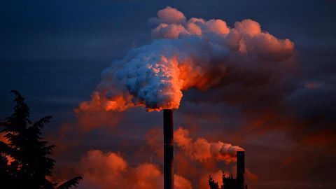 Poor Air Quality Associates With Psychiatric Disorder Risk