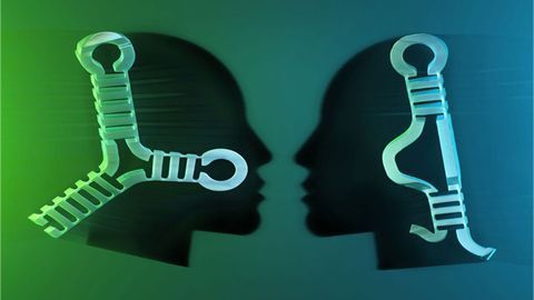 Kissing Loops Essential for Tumor Suppression