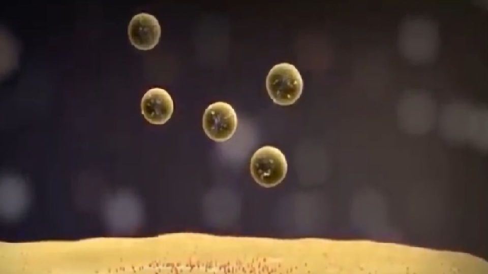 What Are Exosomes? content piece image