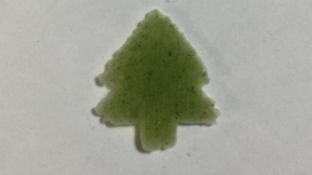 A Silky Home for Helpful Microalgae