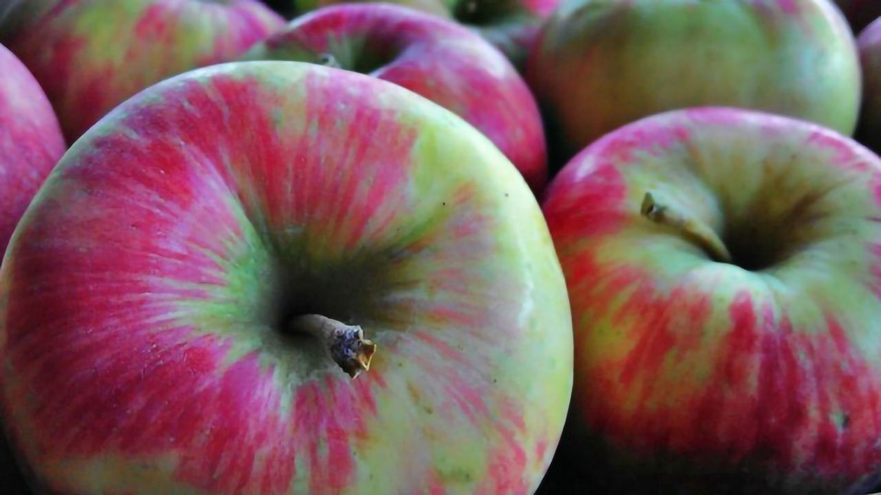 Foodborne Pathogens Lurk Behind Harmless Microbes