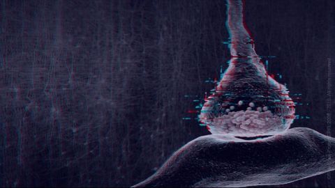 How Neurons Keep Their Cool in a Sea of Chaos