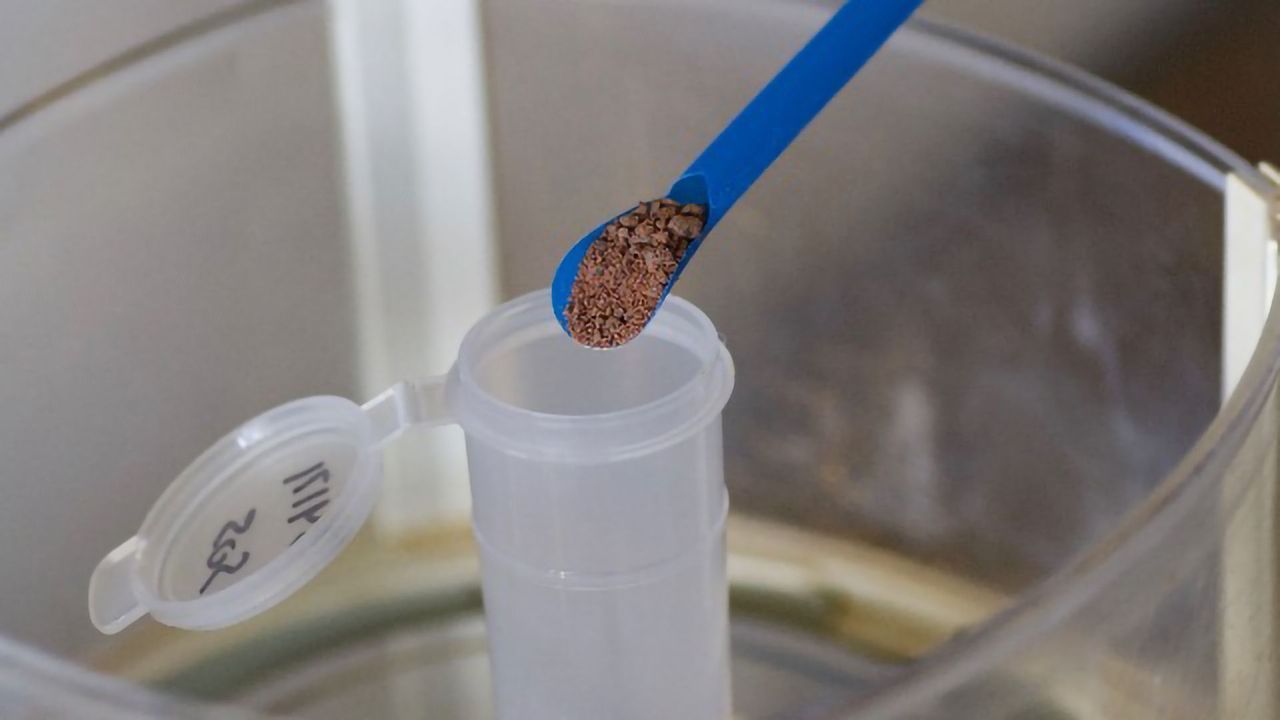 Cannabis Potency Testing Confounded by Chocolate in Edibles