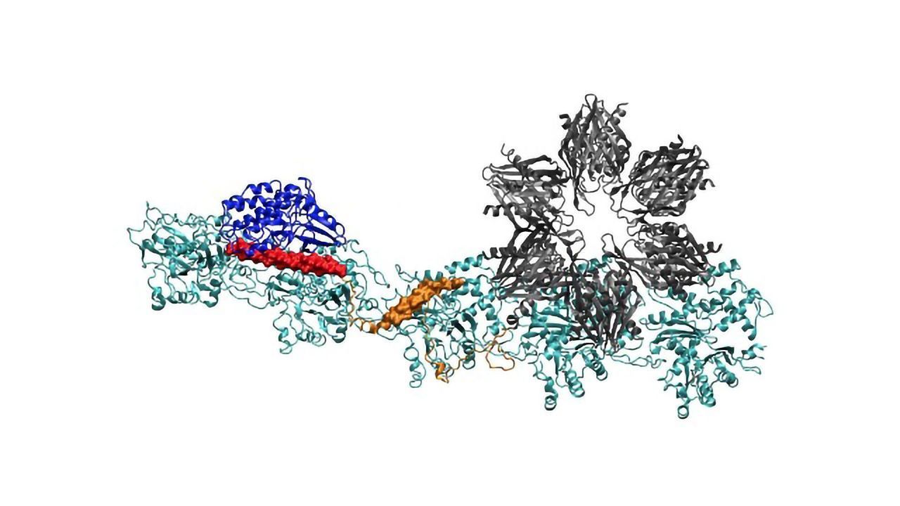 Exploring the Molecules of Memory