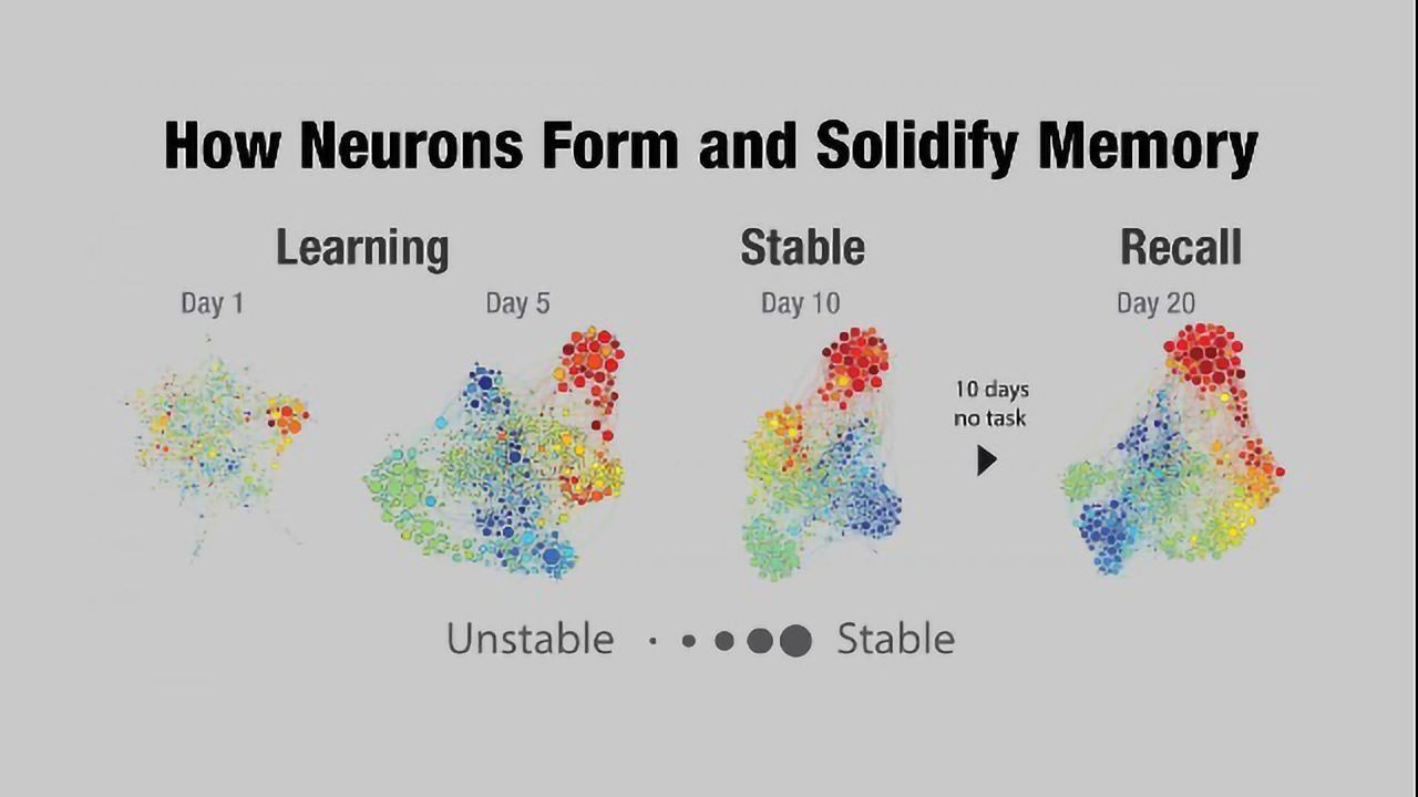 How Memories Form and Fade