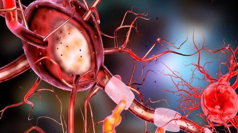 New Approaches to Rejuvenate Injured Nerves