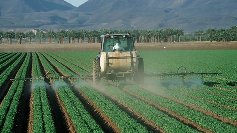 Teen Brain Changes Linked to Prenatal Pesticide Exposure