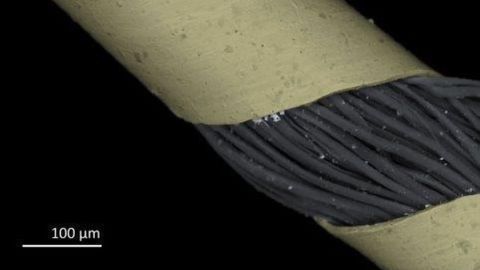 Unraveling Ancient Fashion