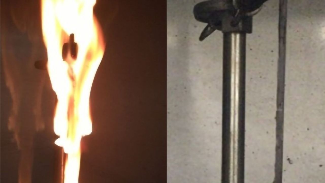 Plants as a Source of Safer Flame Retardants?