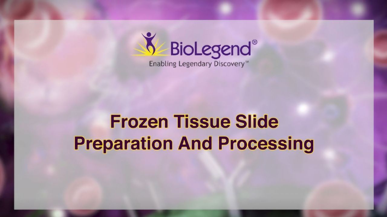 Frozen tissue slide preparation and processing