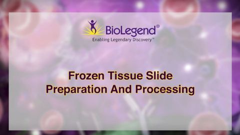 Frozen tissue slide preparation and processing