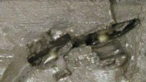 What Lurks at the Bottom of the Sea?