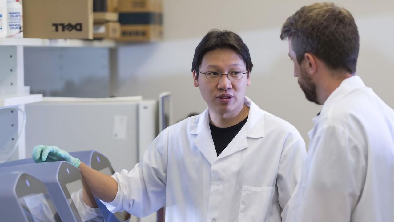 Human Developmental Clock Mimicked in a Dish