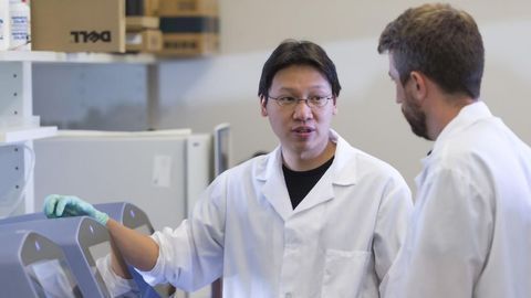 Human Developmental Clock Mimicked in a Dish