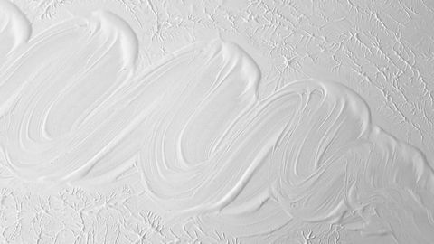 Beetle Scales May Hold Key to Sustainable White Paint