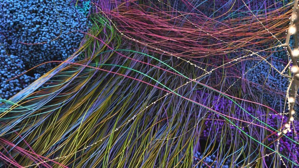 Blue Brain Micro-connectome Spans 88 Billion Synapses content piece image