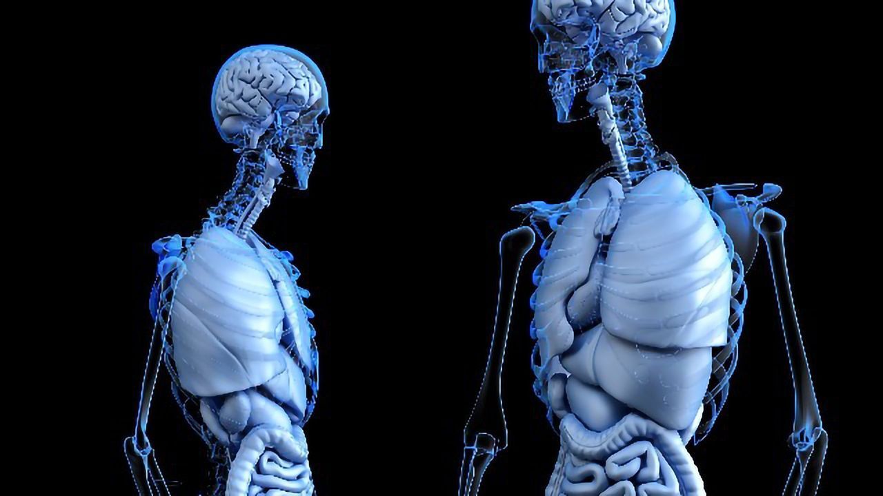 Bioprinting Organs – A Future Alternative to Organ Donation?