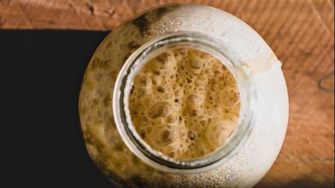 Revealing Yeast's Probiotic Properties