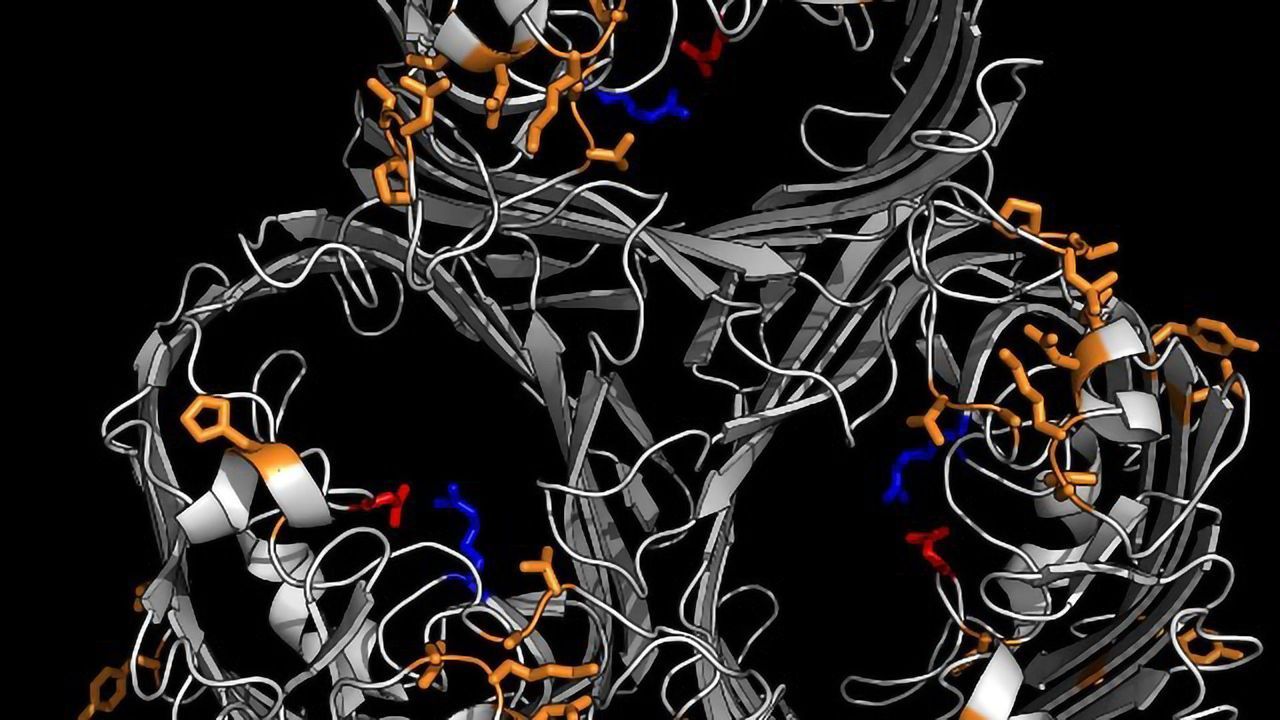 Revealing How Bacteria Block Out Antibiotics
