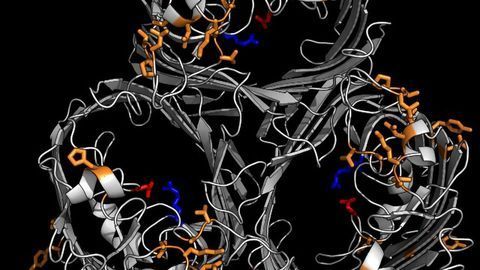 Revealing How Bacteria Block Out Antibiotics