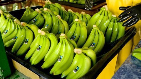 Changing Climate Threatens Banana Crops