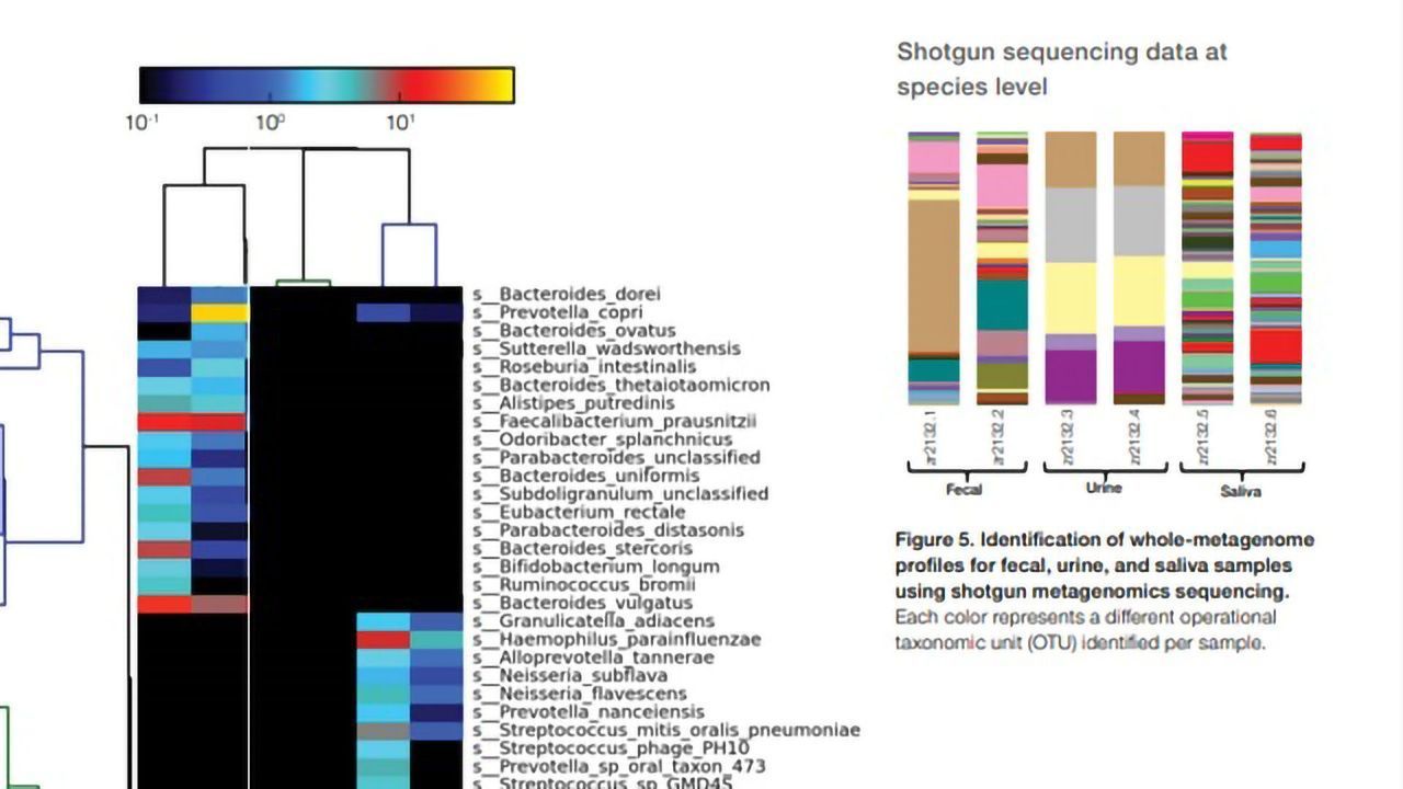 Metagenomic Analysis of the Human Microbiome