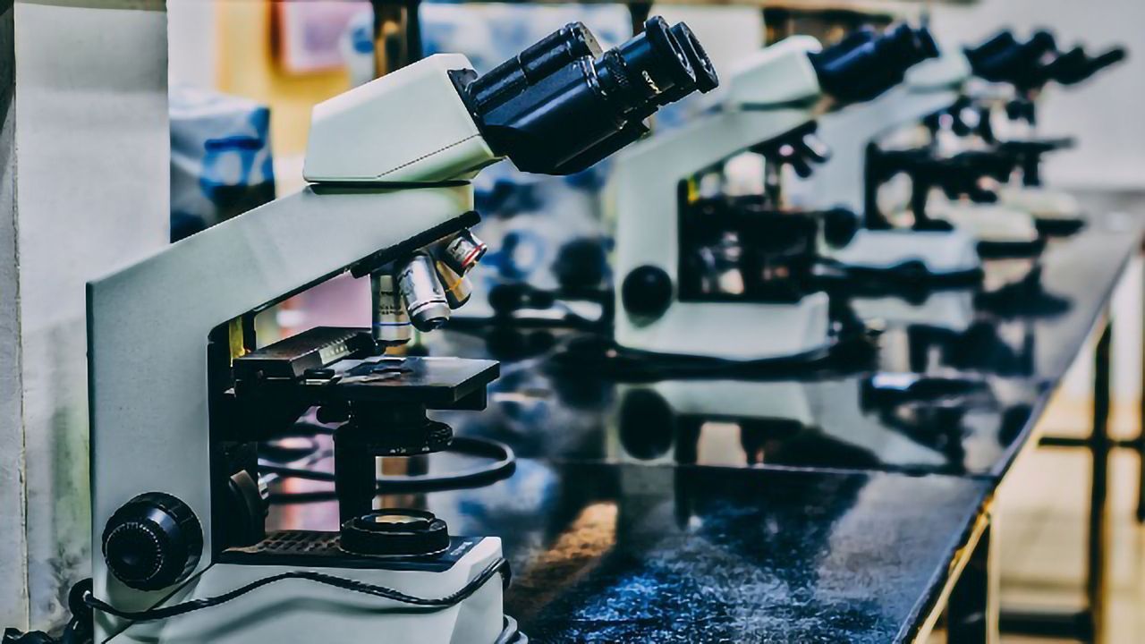 NIH Launches Novel Nationwide Search for Neuroprotective Stroke Therapies
