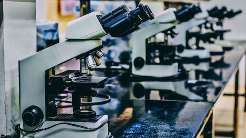 NIH Launches Novel Nationwide Search for Neuroprotective Stroke Therapies
