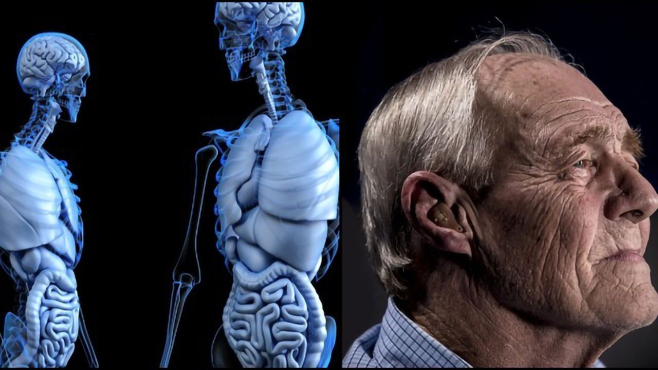 Parkinson's Disease May Start in the Intestines, New Rat Study Concludes