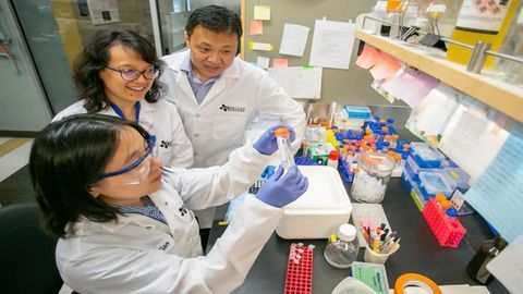 Could the Link Between “Hunger Hormone” and Alzheimer’s Explain Clinical Trial Failure?