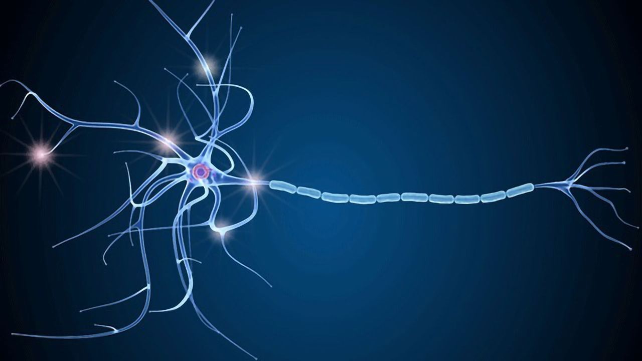 Compound Created To Help Reconstruct Myelin in Multiple Sclerosis