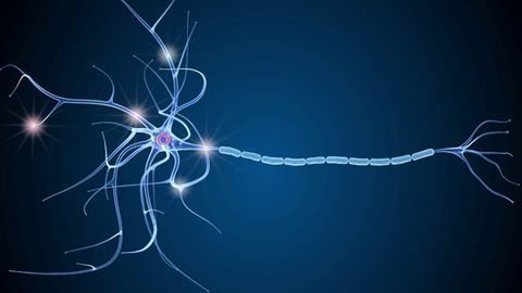 Compound Created To Help Reconstruct Myelin in Multiple Sclerosis