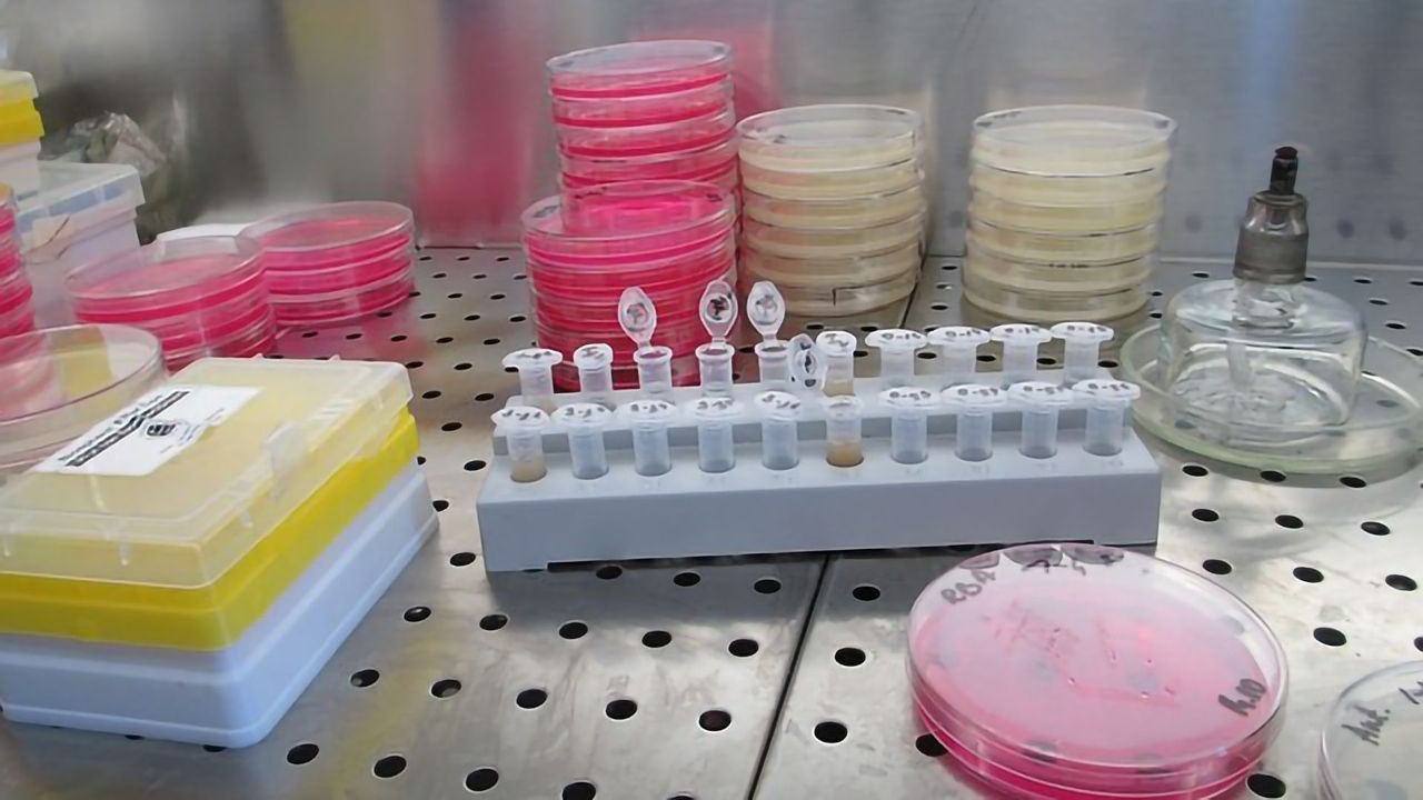 Project Improving Biotherapeutic Workflows Highlighted at BioProcess Conference