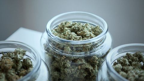 Using Cannabis to Treat PTSD Isn’t Yet Supported by High-quality Evidence