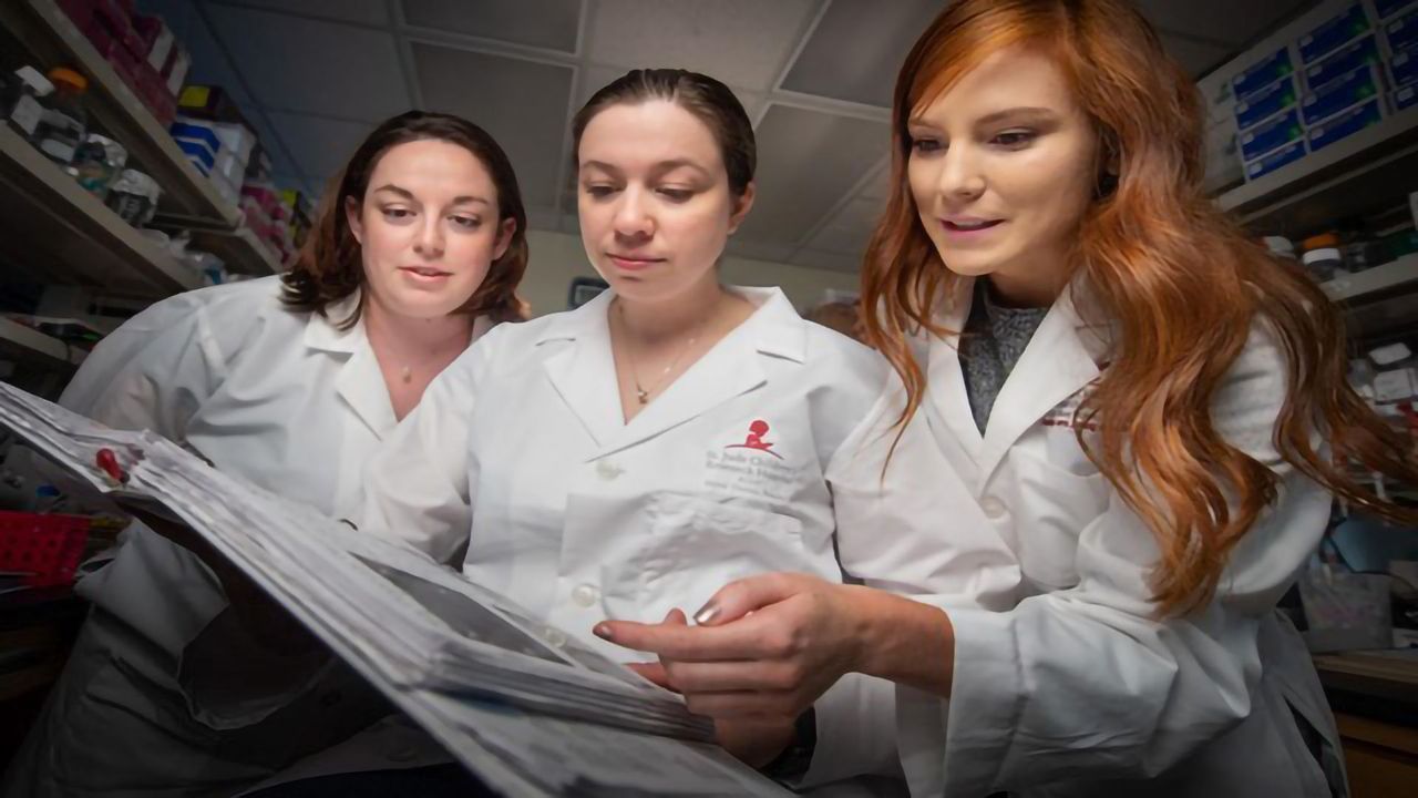 Beyond Sequencing: Creating a 3D Genome
