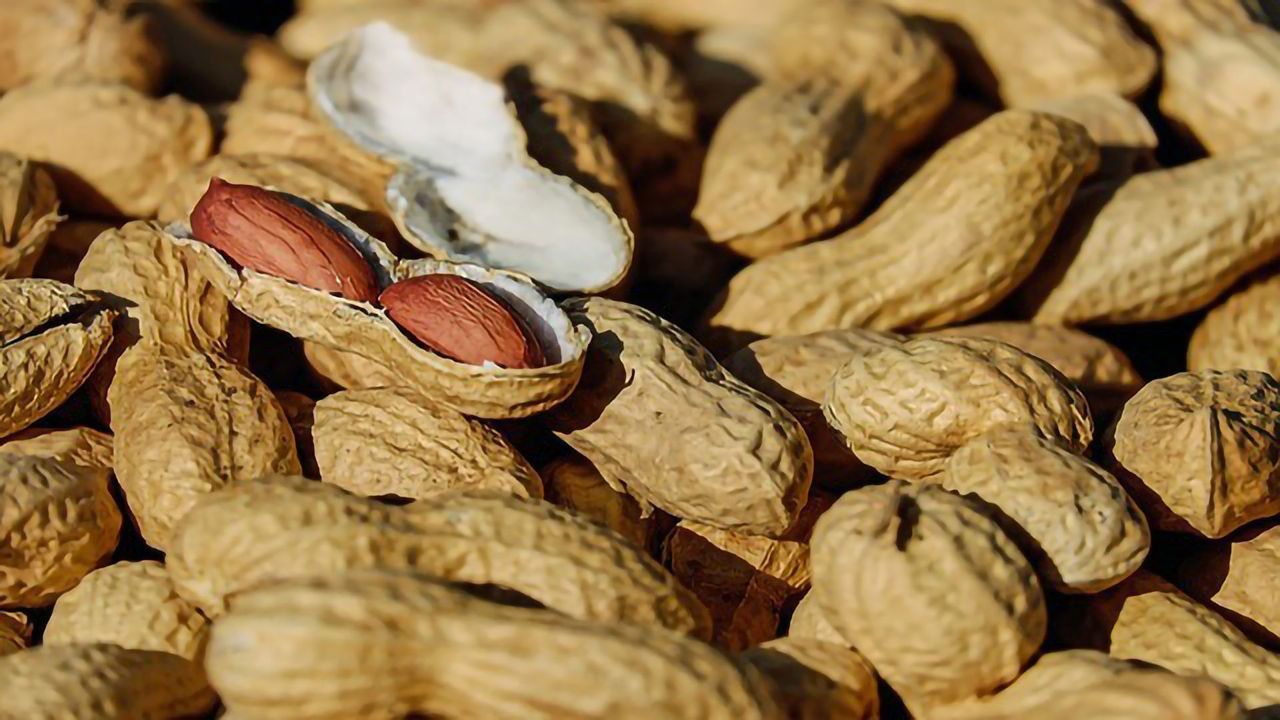 Under-the-Tongue Peanut Protein Shows Effectiveness in Peanut Allergy Clinical Trial