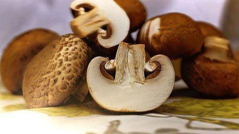 Eating Mushrooms May Help Reduce Prostate Cancer Risk