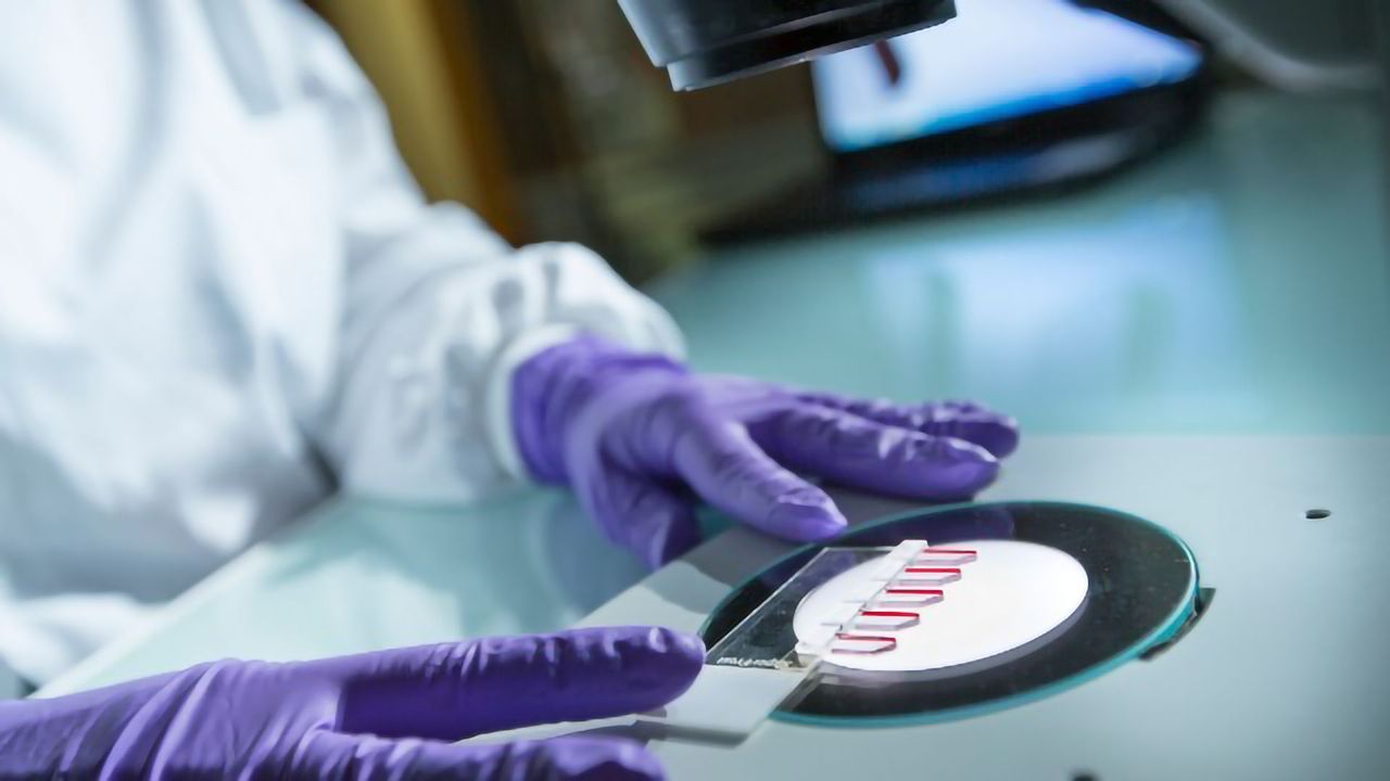 Non-contact Evanescent Acoustic Tweezers Can Manipulate Cell and Bacterial Samples
