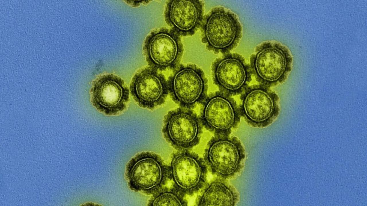 Flu Vaccine Effectiveness May Be Impacted by Microbiome Disruption