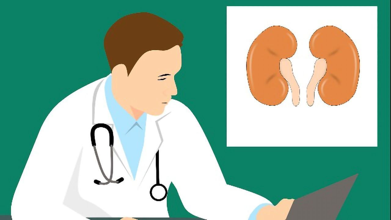 Novel Biomarker Can Accurately Detect Antibody-mediated Kidney Rejection