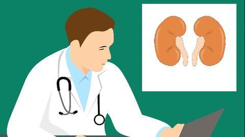 Novel Biomarker Can Accurately Detect Antibody-mediated Kidney Rejection