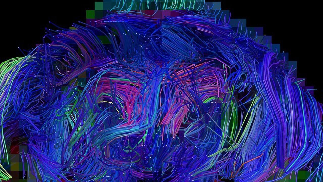 Schizophrenia Onset Prevented in Mouse Model