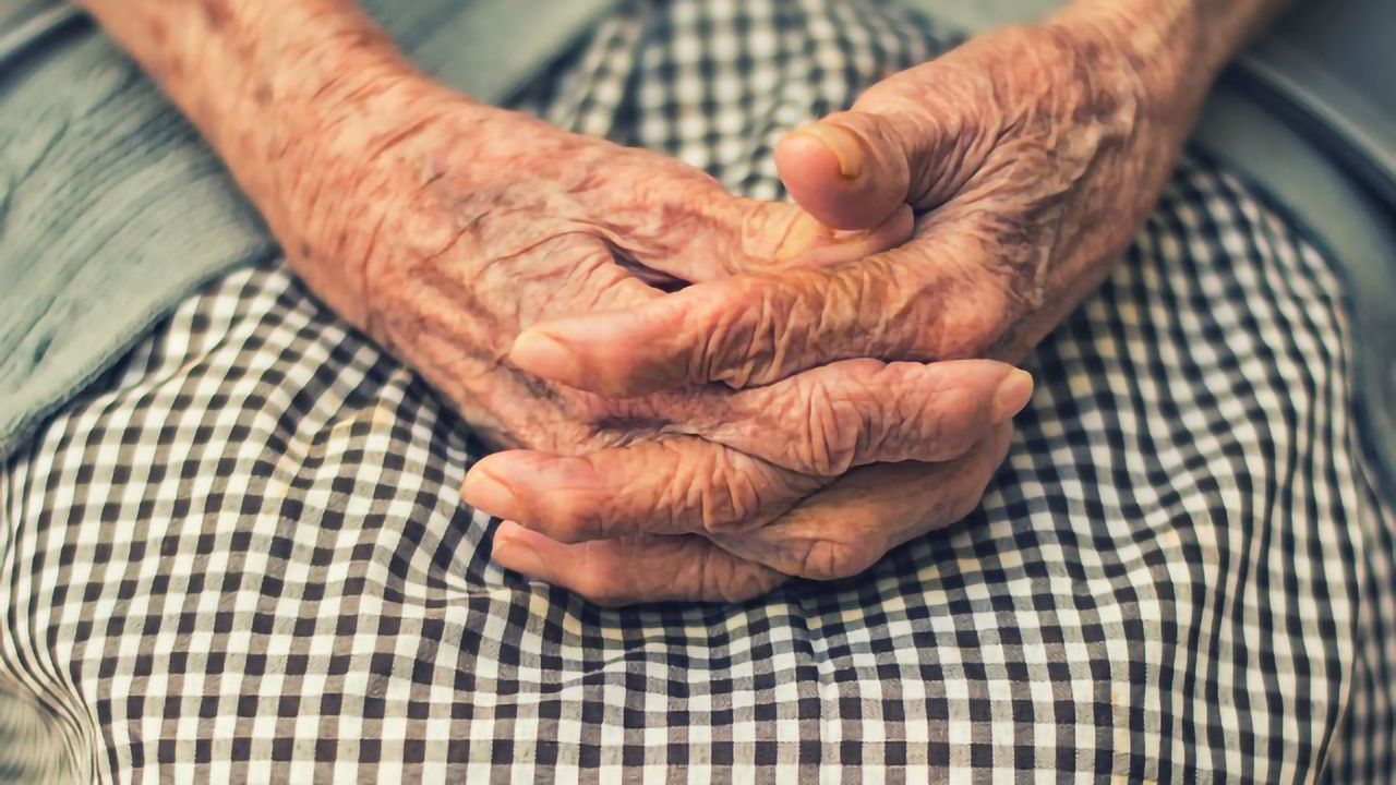 Study Identifies Targetable Immune Component of Alzheimer's Disease